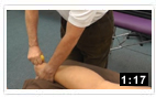 Achilles Tendon insertion